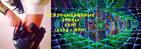 хмурый Арсеньев