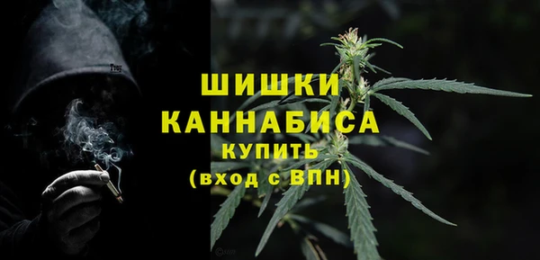 spice Абаза