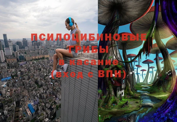 эйфоретик Алзамай