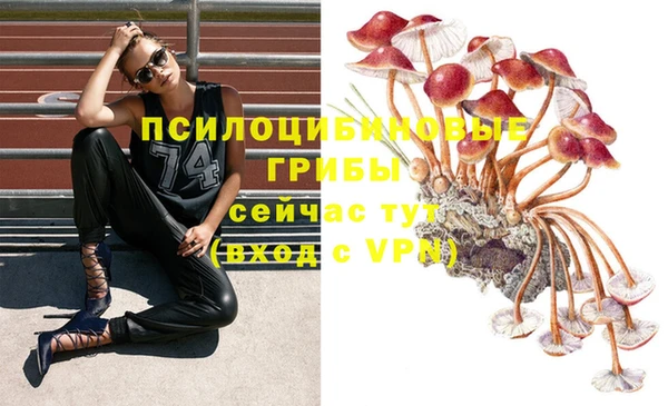 эйфоретик Алзамай
